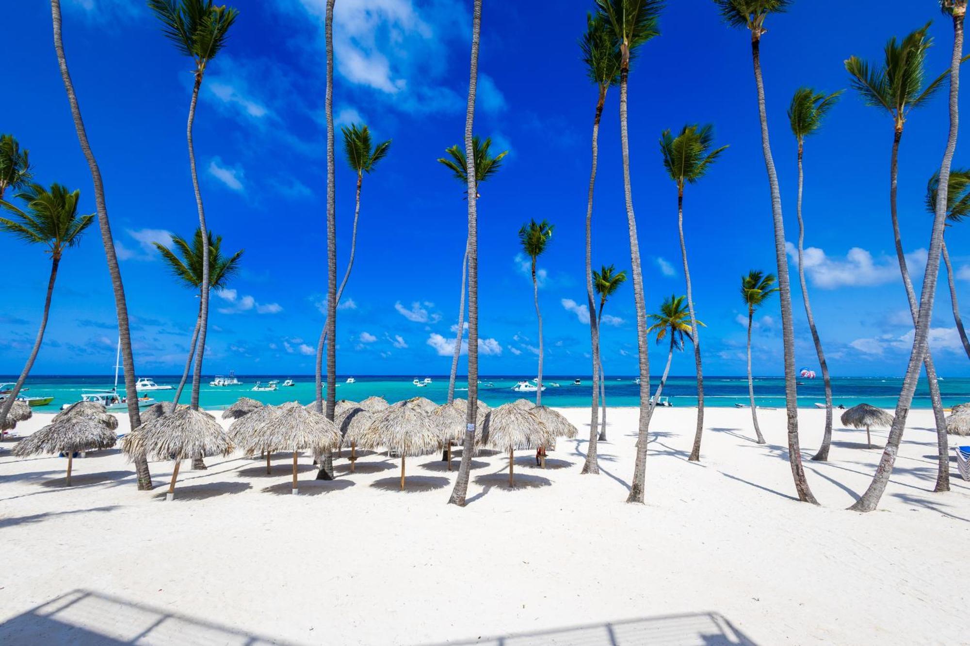 Prime Ocean View Punta Cana Apartments - 3-Bedroom Getaway With Private Terrace On Bavaro Beach Exterior photo